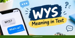 WYS Meaning in Text